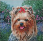 Garden Cutie (image for) Garden Cutie